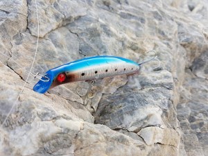 Fortuna-Salti-FS-62_C