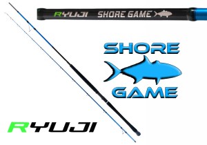 ryuji-shore-game-fuji